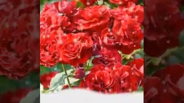 Кайрлы тан смотреть онлайн