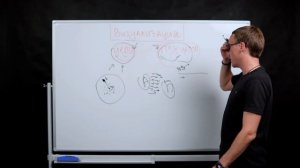 Какую визуализацию желаний выбрать?