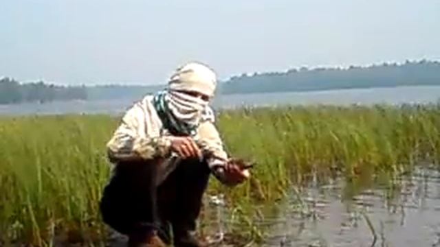 жЁрик вахтанофф смотреть онлайн