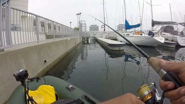 Last Urban Angler Tourney of The Season (Podium Finish) смотреть онлайн