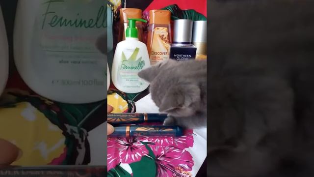 Заказ по каталогу Орифлэйм #12_13