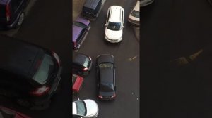 зарули дура