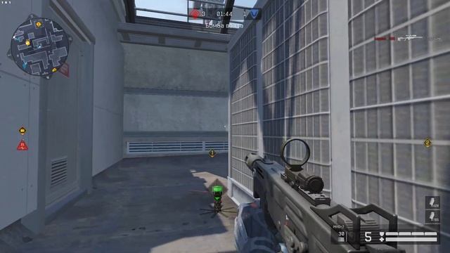 серый тащит