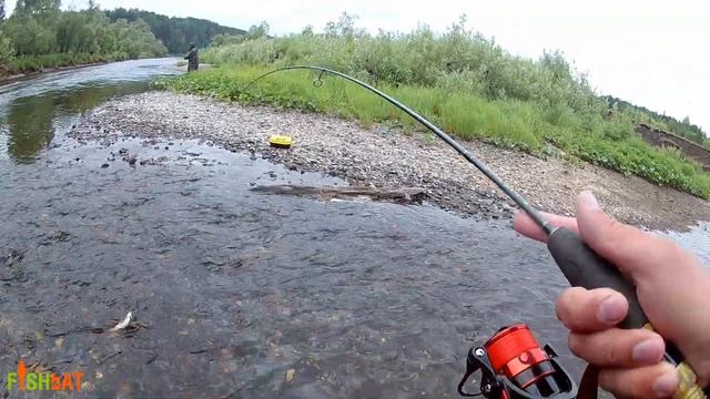 Хариус в тайге на мормоспиннинг. смотреть онлайн
