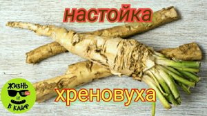 Хреновуха!!По секретному рецепту, которая понравится даже искушеному человеку