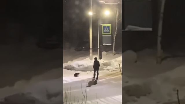 ХАНТ ПРИРУЧАЕТ ПЕТА ► World of Warcraft смотреть онлайн