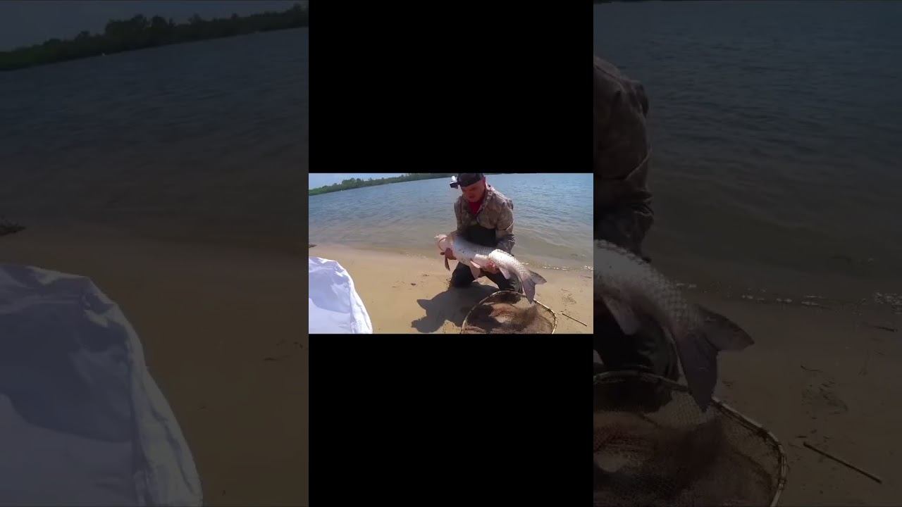 ОТ ЭТИХ МОНСТРОВ БОЛЯТ РУКИ !!! 2 ЧАСТЬ #shorts смотреть онлайн