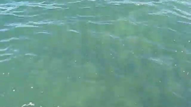 У Черного моря, Одесса смотреть онлайн