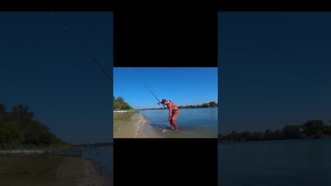 НОЧНОЙ ЖОР САЗАНА !!! #shorts смотреть онлайн