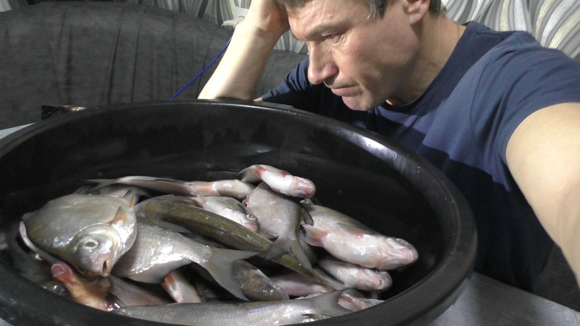 ЗАСОЛИЛ И ЗАСУШИЛ ГОРУ РЫБЫ В КВАРТИРЕ! Процесс засолки и сушки рыбы в квартире! смотреть онлайн