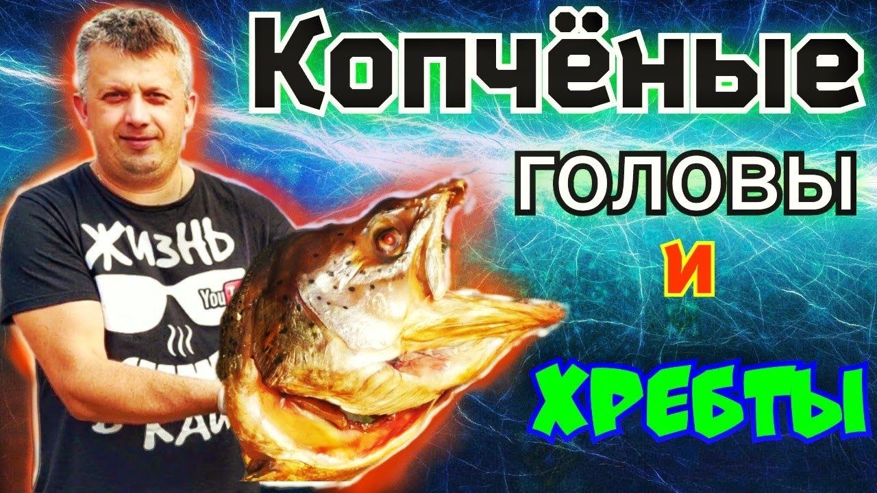 Жизнь в Кайф