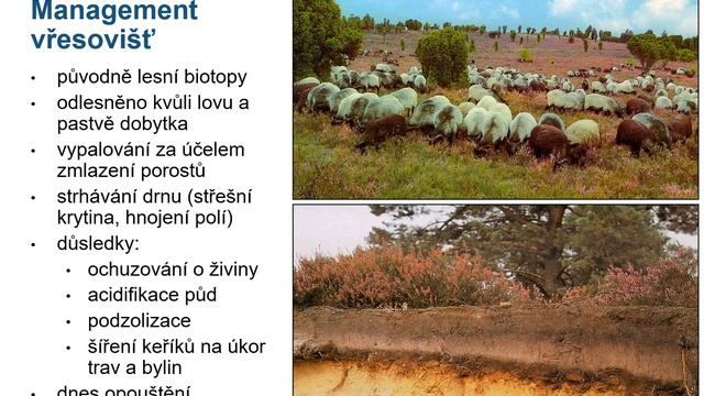 Vegetace a biotopy Evropy 12 - Atlantská oblast смотреть онлайн