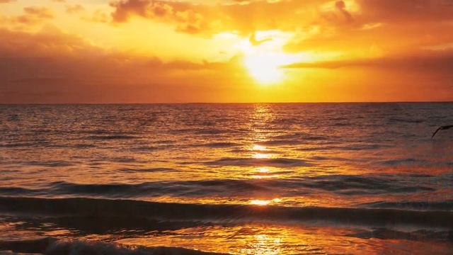 Relaxing Music With Nature Sounds, Peaceful Music 