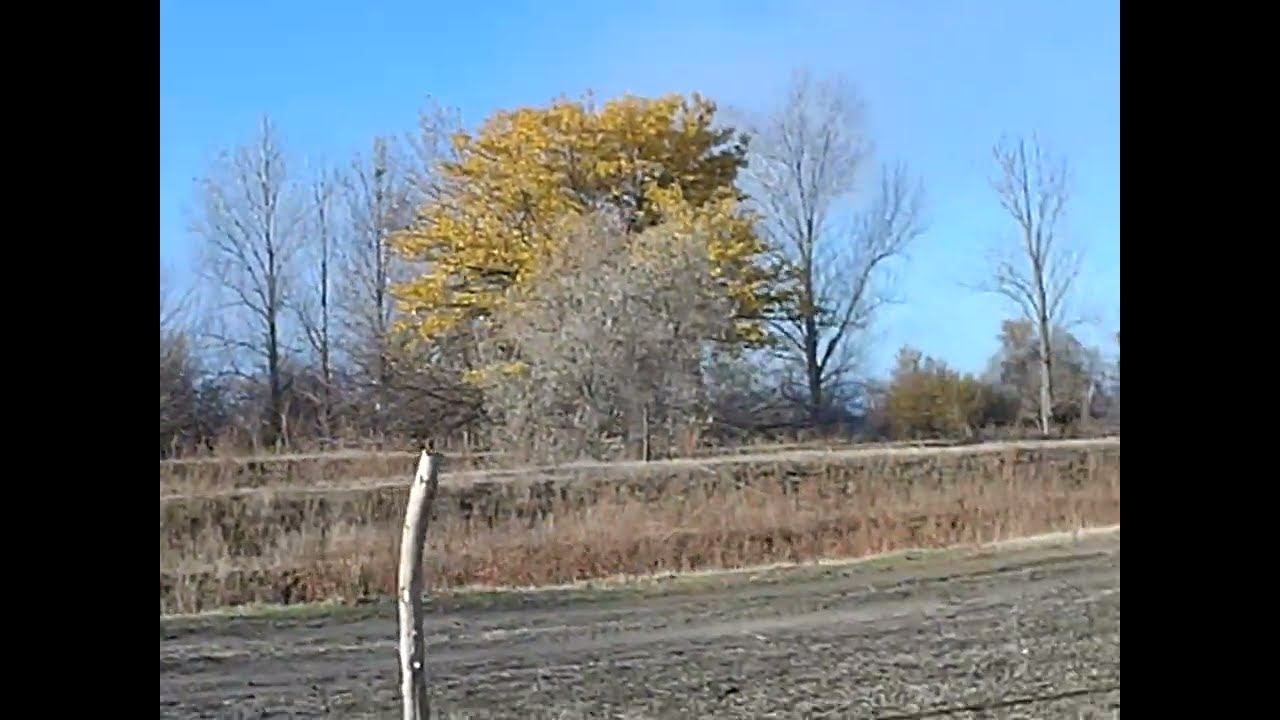 04.11.2024 День народного единства ЧТО ДЕЛАТЬ? : ЛПХ В ОПАСНОСТИ смотреть онлайн