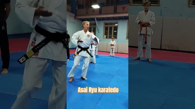 Бункай Хейан Нидан. Asai Ryu karatedo. #asairyu #karate #каратэ смотреть онлайн