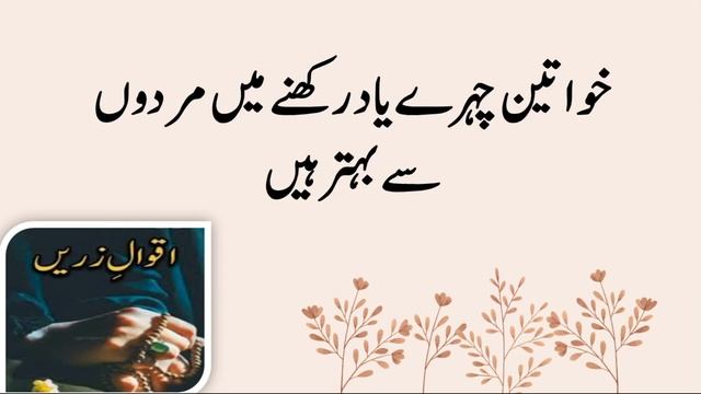 20 Aham batain|20 Aqwal e Zarin in urdu смотреть онлайн
