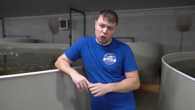 Блокировка сайта АкваФерма смотреть онлайн