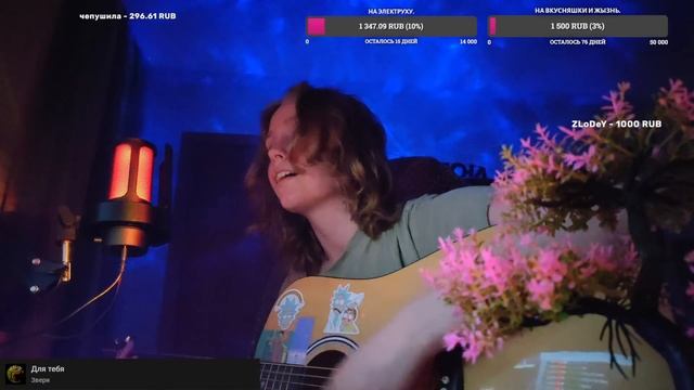 мяу комфорт смотреть онлайн