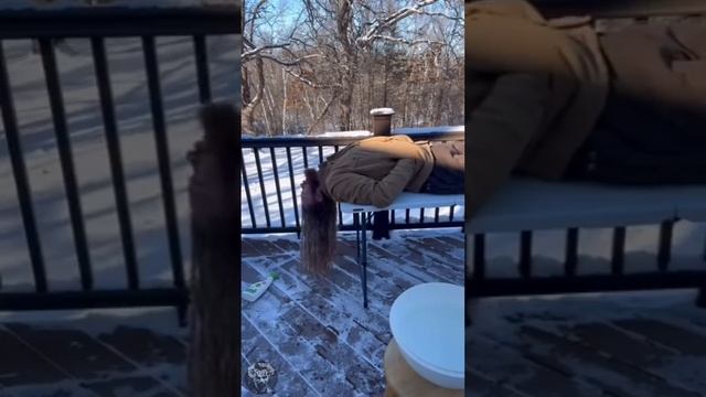 Одна из причин почему мужчины живут меныше женщин. ЮМОР, ПРИКОЛЫ смотреть онлайн