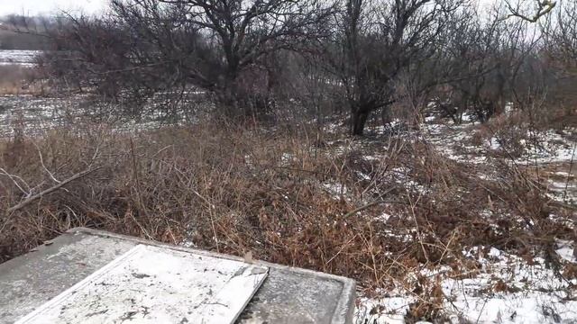 Дальний точок | Осмотр двух ульев | 663. 00 смотреть онлайн
