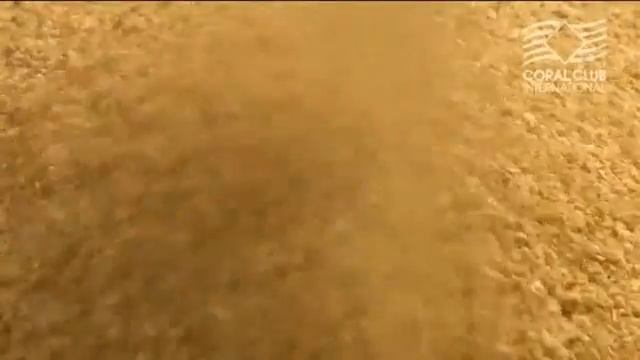 Долголетие и Живая вода Coral-Mine . смотреть онлайн
