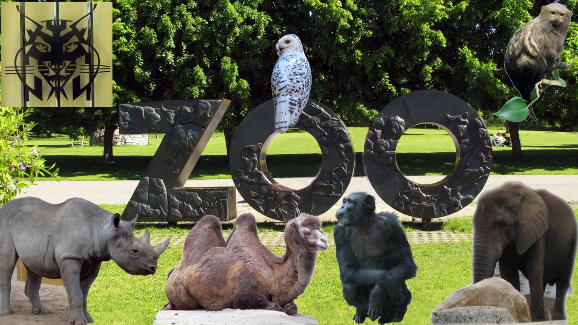 Питомцы Таллинского зоопарка смотреть онлайн