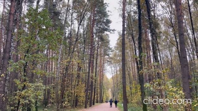 Пакистанка и русский. смотреть онлайн