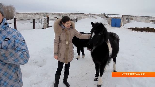 U News. Новости Салавата 14.01.2014 смотреть онлайн