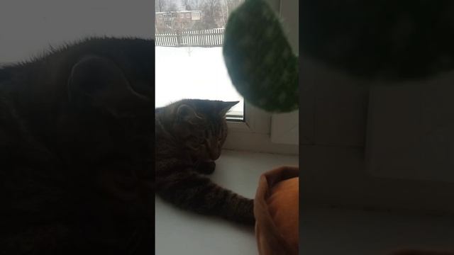 21 февраля 2023 г. смотреть онлайн