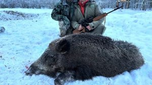 Охота на лося и кабана в -30