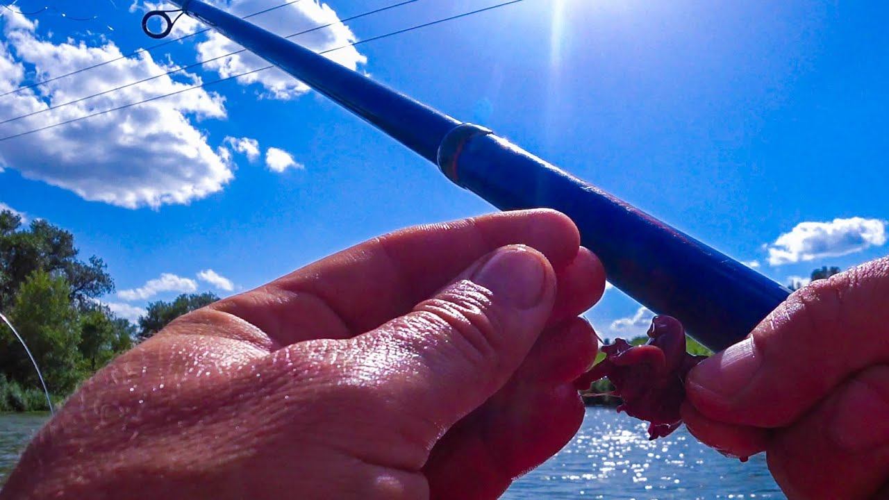 СОМЫ НА КУРИНУЮ ПЕЧЕНЬ !!! смотреть онлайн