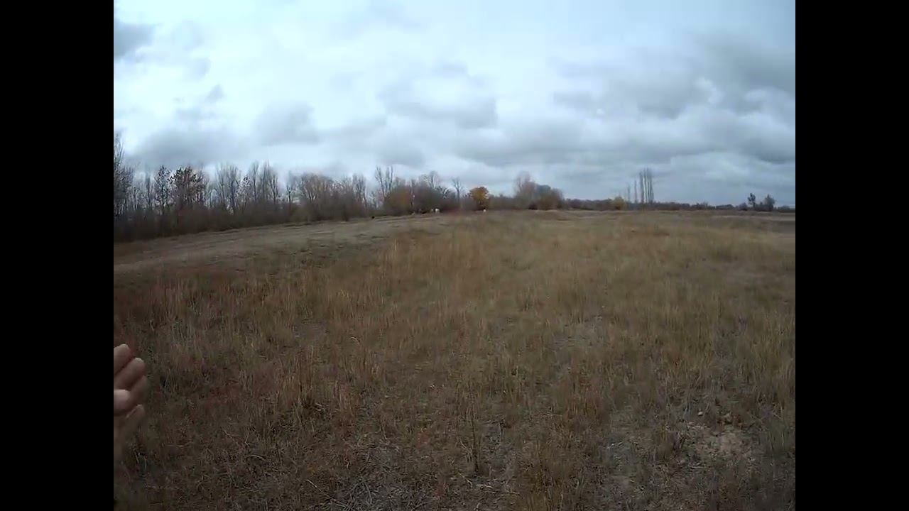 11.11.2024 ЧТО ДЕЛАТЬ? : ЛПХ В ОПАСНОСТИ смотреть онлайн