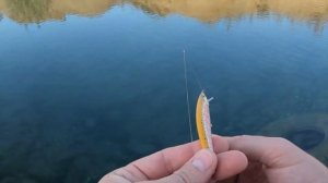 Как настроить игру воблера. How to set up the play of the lure.