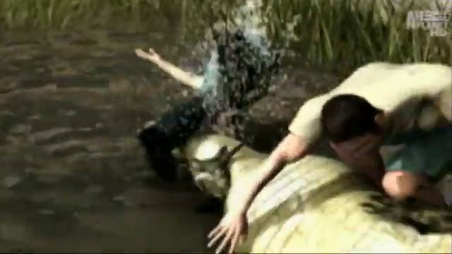 3D ALLIGATOR Animations смотреть онлайн