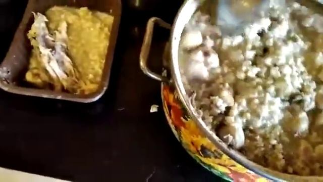 Каша на передержке Тётя-Мотя смотреть онлайн