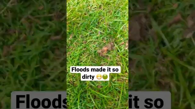 SO GROSS I CANT смотреть онлайн