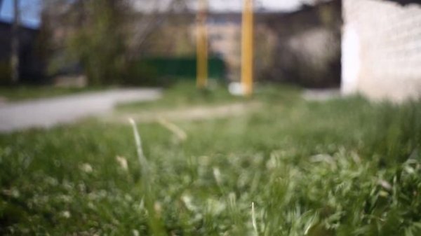 Carl Zeiss Jena Flektogon 35 mm f/2.8