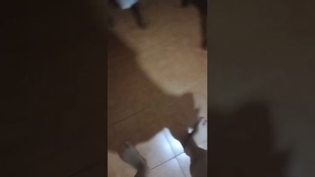 ЯК ЗРОБИТИ ЧІПСИ В МІКРОХВИЛЬОВЦІ? / Рецепт чіпсів в мікрохвильовці смотреть онлайн