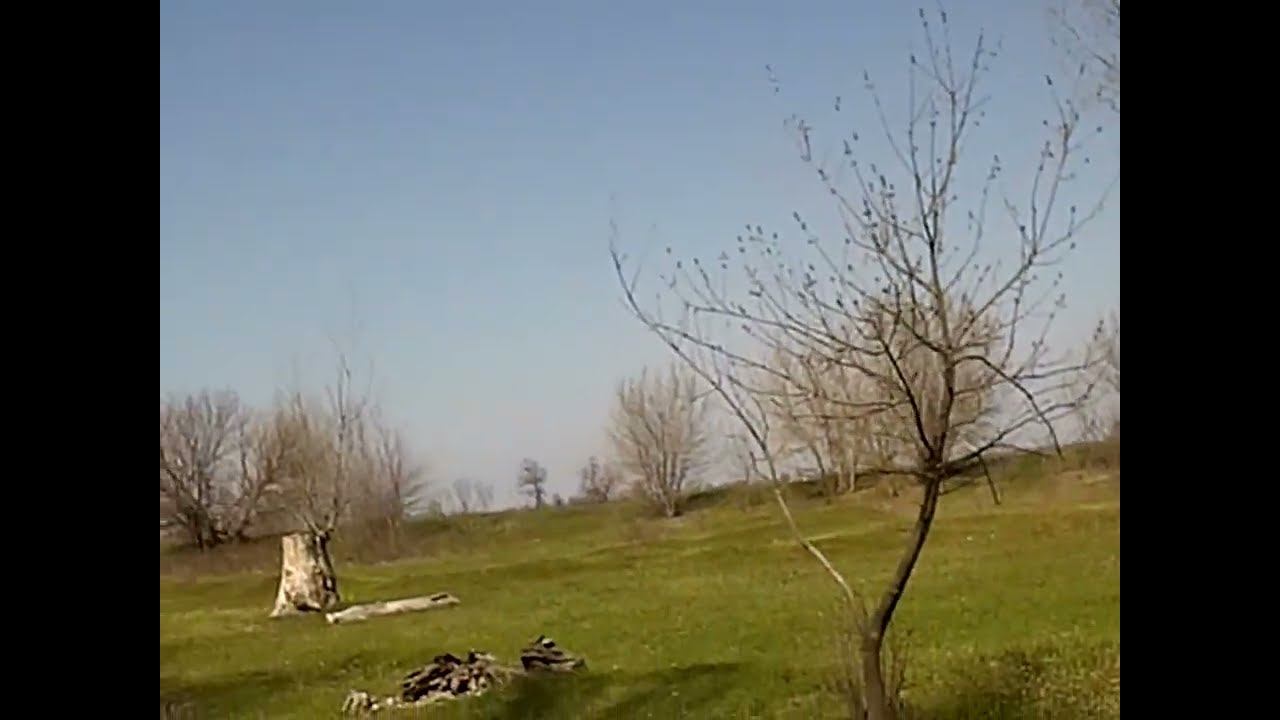 11.04.2024 часть 1 ЧТО ДЕЛАТЬ? : ЛПХ В ОПАСНОСТИ смотреть онлайн