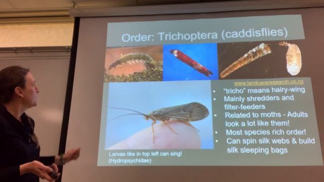 Freshwater Animals - insects part 3 смотреть онлайн