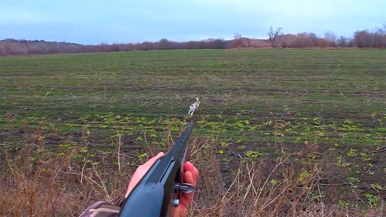 ОХОТА НА ЗАЙЦА,ФАЗАНА И ГРИБЫ !!! смотреть онлайн