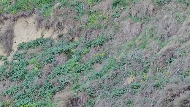 Ищем приключения 😁, Сербия, апрель, жара смотреть онлайн