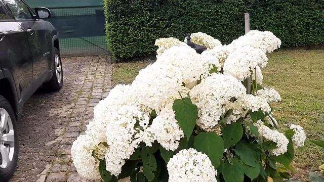 Обычные дачные работы/поставили маленький бассейн/приятный вечер смотреть онлайн