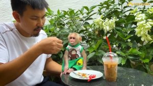 Monkey BiBi cried for his father to go to coffee!