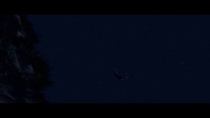 Суперсесейка | RYTP