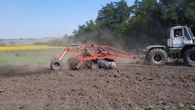 Этапы посева пшеницы смотреть онлайн