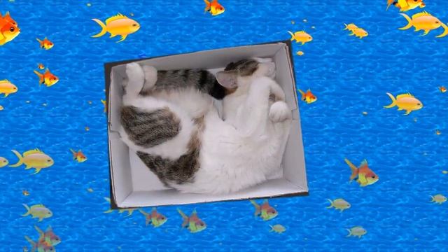 Искуство Сон фу. Кошки//Art Song Fu. Cats смотреть онлайн