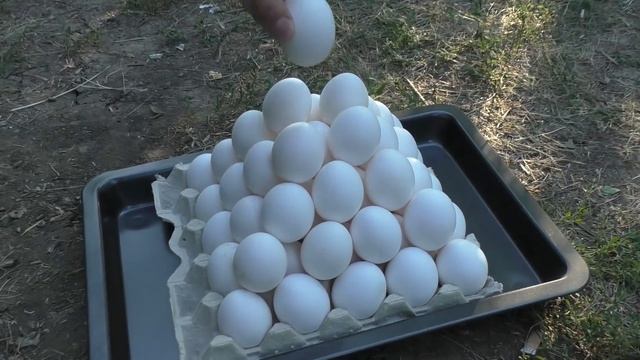 Experiment: 1100 Degree Lava vs Eggs смотреть онлайн