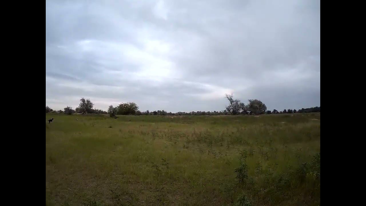 26.05.2024 падаль Экология Астраханской области смотреть онлайн