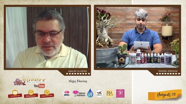 Quinta Salvadora Tudo sobre a nutrição das Rosas do Deserto com Rangel Adenium e Alan Silva смотреть онлайн